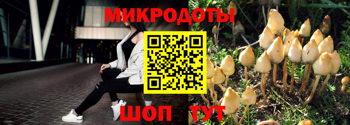Галлюциногенные грибы GOLDEN TEACHER  Псилоцибиновые грибы ЛСД  Вход с VPN  Курчалой 