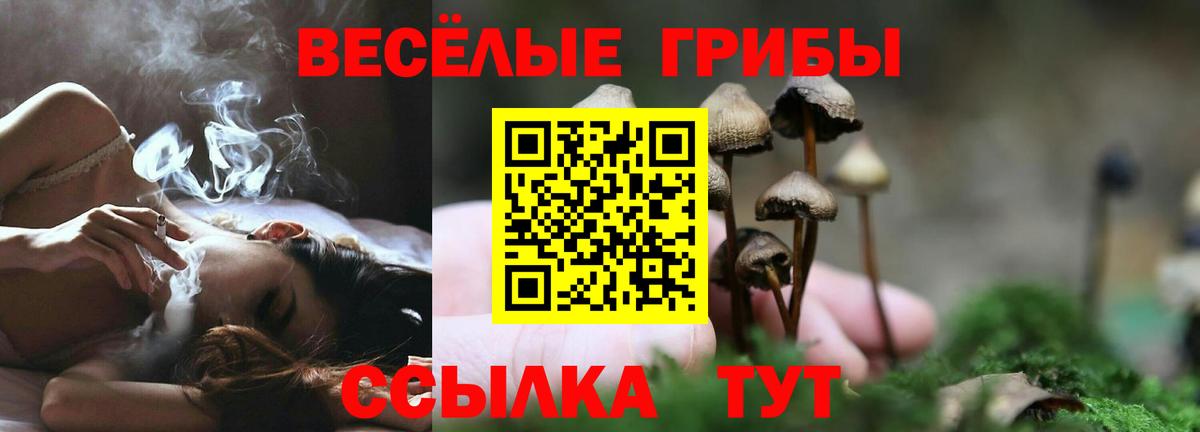Псилоцибиновые грибы ЛСД Курчалой